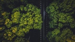 De TCS Sustainathon moedigt jonge geesten aan om milieuproblemen aan te pakken