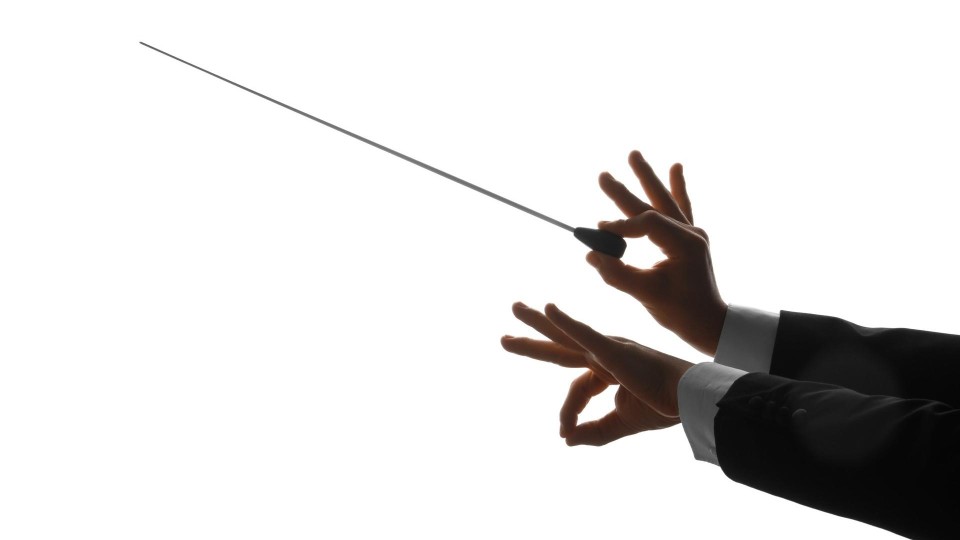 Silhouet van de handen van de mannelijke dirigent op een witte achtergrond