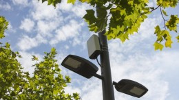 Gezondheidsraad: ga door met 5G-uitrol, maar blijf monitoren