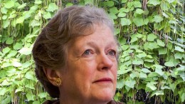 KNVI in internationale voorhoede certificering ICT-professionals