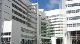 Wie wordt de wethouder digitale transitie?