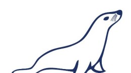 MariaDB Enterprise verenigt SQL en NoSQL