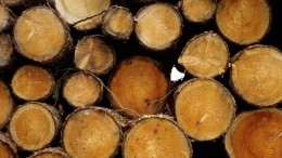 Contentanalyse is succesfactor