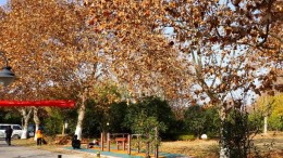 Vallende blaadjes leveren nieuwe elektronica