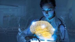 'Topografie brein kan een-op-een op een chip gezet'