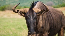 Verschillende snelheden