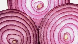 Dark web verliest geheime karakter