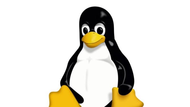 Beveiliging Linux moet op de schop