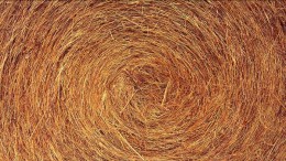 Weet waar je gevoelige data zitten