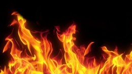 IT'ers zijn hot, maar wie is het hotst?