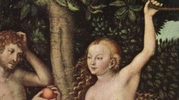 Apple is een seksistisch bedrijf