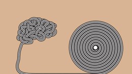 Verklaarbare AI gaat nieuwe fase in met 'concept whitening'