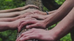 ‘Door het aanhaken van diverse teams bevorder je adoptie’