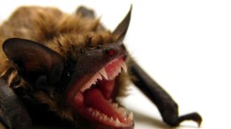 Nog steeds op Windows 7? Ben je sneller de sjaak