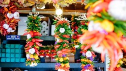 Innovatie voor kleine ondernemers versnellen met ICT tools