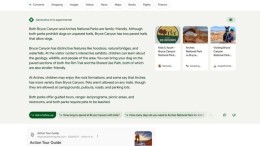 Zoeken op internet verandert nu echt: Google is om, opgejut door Microsoft