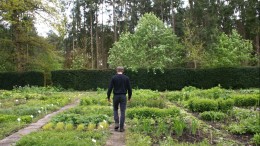 Biologische kwekerijen zijn beter voor het milieu, maar of je er massavolumes mee kunt draaien? ‘Dat wordt erg lastig’