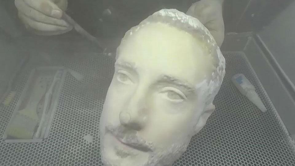 3D-printed head