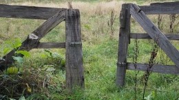 6 procent NL-bedrijven stond wijd open voor WannaCry