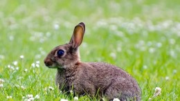 Nederlandse top500 verlamd onder innovatiedruk