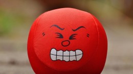 Wetenschappers kwaad over copyright-wet