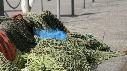 Datacenter BIT legt zich nog niet neer bij sleepnetwet