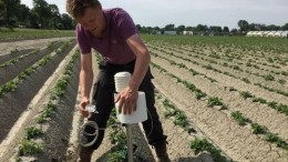 Buitengebied borrelt van 5G-use cases