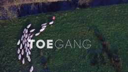 Nieuwe vertraging platform Wet Open Overheid lijkt aanstaande