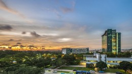 ‘Laat Huawei Nederland afstand nemen van Oeigoeren-technologie’