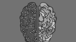 When the brain meets the muscle