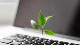 Zo krijgt duurzaamheid vaste plek in IT-studies van Radboud Universiteit