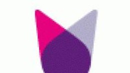 Meer toezichtmacht tegen 'duopolie' KPN en Vodafone/Ziggo