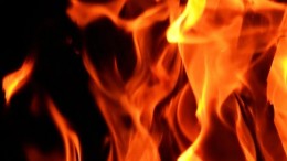 Rekenkamer stelt 'hackrapport' Rotterdam uit