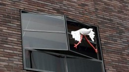 Eerste 'blockchainbaby' geboren