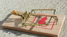 Vijf valkuilen voor de ERP-strategie