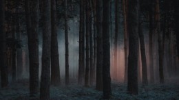 Zo wisten SolarWinds-hackers erg lang uit zicht te blijven