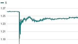 Computer krijgt schuld van instorten Pond