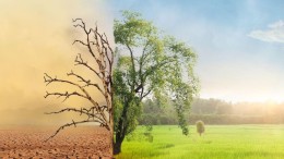 Urgentie rondom klimaatverandering verslapt, maar daar is iets aan te doen