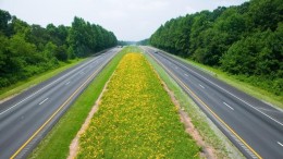 Hybride werken verkleint CO2-voetafdruk van Rijksoverheid