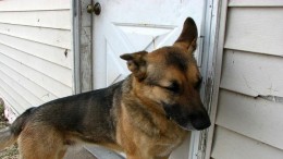 'Huawei hielp Afrikaanse landen met spionage'