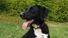 Grenzen aan zelfsturing