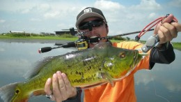 SANS getroffen door phishingaanval