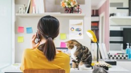 Hybride werken: zo doe je dat