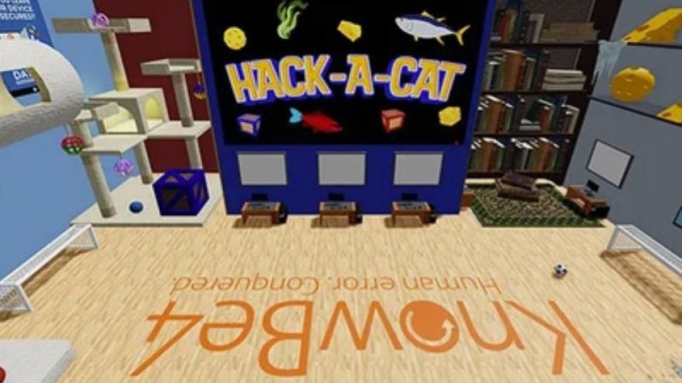 Hack-A-Cat