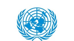 Hackers kraken website VN