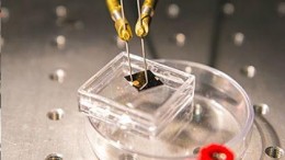 Nieuw materiaal brengt memristor naar IoT