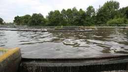 Datamanagement is zuiveringsinstallatie voor BPM