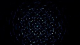 SentinelOne breidt firewall- en NDR-mogelijkheden uit