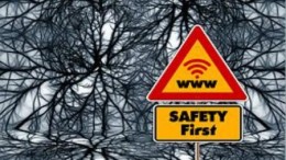 'Cyberverzekeringen gaan hoge vlucht nemen'