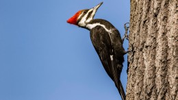 Hallucinerende AI? Nieuwe tool moet dat oplossen, zonder AI-model opnieuw te trainen